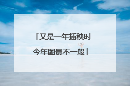 又是一年插秧时 今年图景不一般