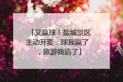 又赢球！盐城景区主动开麦：球我赢了，旅游我请了