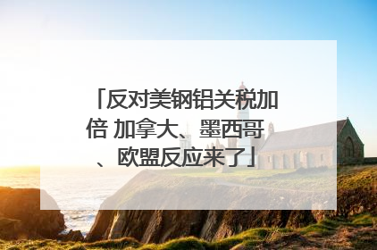 反对美钢铝关税加倍 加拿大、墨西哥、欧盟反应来了