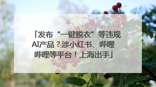 发布“一键脱衣”等违规AI产品？涉小红书、哔哩哔哩等平台！上海出手