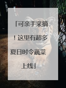 可亲手采摘！这里有超多夏日时令蔬菜上线