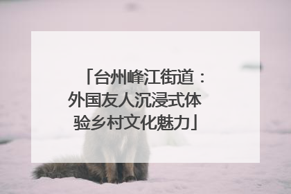 台州峰江街道：外国友人沉浸式体验乡村文化魅力