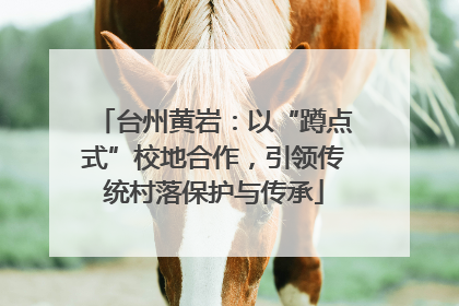 台州黄岩：以“蹲点式”校地合作，引领传统村落保护与传承