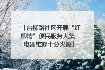 台柳路社区开展“红柳情”便民服务大集 电器维修十分火爆