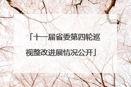 十一届省委第四轮巡视整改进展情况公开