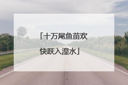 十万尾鱼苗欢快跃入湟水