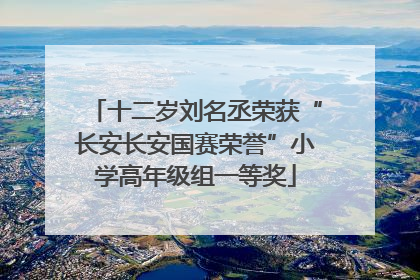 十二岁刘名丞荣获“长安长安国赛荣誉”小学高年级组一等奖