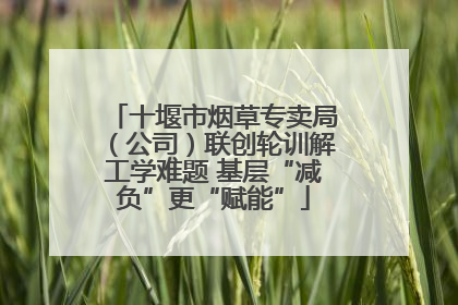 十堰市烟草专卖局（公司）联创轮训解工学难题 基层“减负”更“赋能”