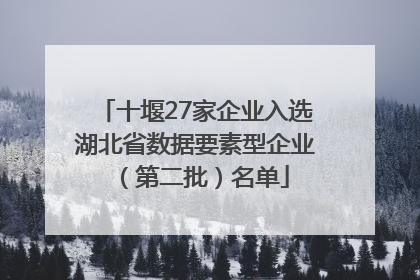 十堰27家企业入选湖北省数据要素型企业（第二批）名单
