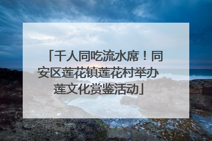 千人同吃流水席！同安区莲花镇莲花村举办莲文化赏鉴活动