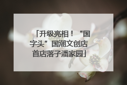 升级亮相！“国字头”国潮文创店首店落子潘家园