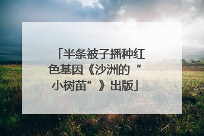 半条被子播种红色基因《沙洲的“小树苗”》出版