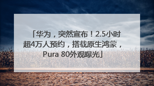 华为，突然宣布！2.5小时超4万人预约，搭载原生鸿蒙，Pura 80外观曝光
