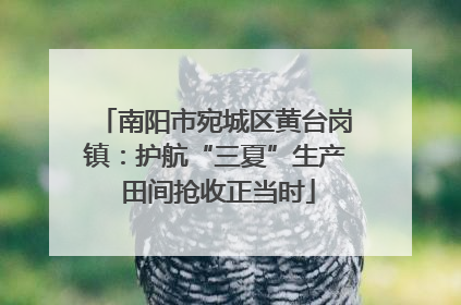 南阳市宛城区黄台岗镇：护航“三夏”生产 田间抢收正当时