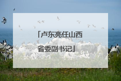 卢东亮任山西省委副书记