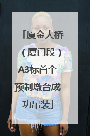 厦金大桥（厦门段）A3标首个预制墩台成功吊装