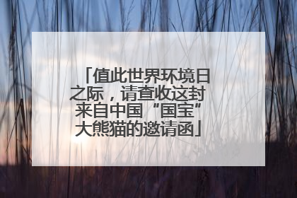 值此世界环境日之际，请查收这封来自中国“国宝”大熊猫的邀请函