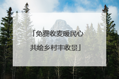 免费收麦暖民心 共绘乡村丰收景