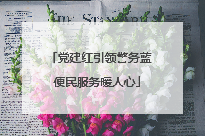 党建红引领警务蓝 便民服务暖人心
