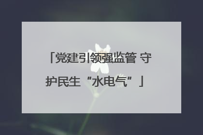 党建引领强监管 守护民生“水电气”