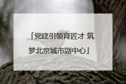 党建引领育匠才 筑梦北京城市副中心