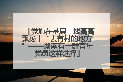 党旗在基层一线高高飘扬丨“去有村的地方”——湖南有一群青年党员这样选择