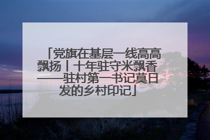 党旗在基层一线高高飘扬丨十年驻守米飘香——驻村第一书记莫日发的乡村印记