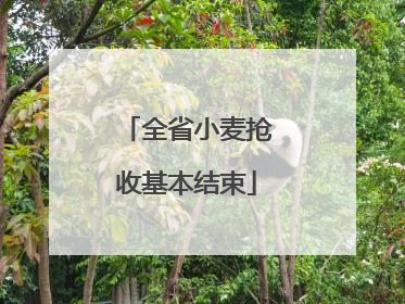 全省小麦抢收基本结束