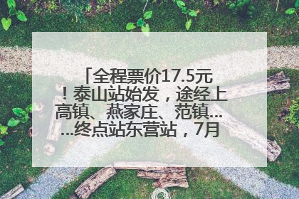 全程票价17.5元！泰山站始发，途经上高镇、燕家庄、范镇……终点站东营站，7月1日开通！
