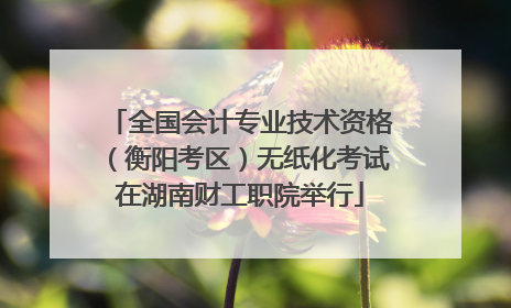 全国会计专业技术资格（衡阳考区）无纸化考试在湖南财工职院举行
