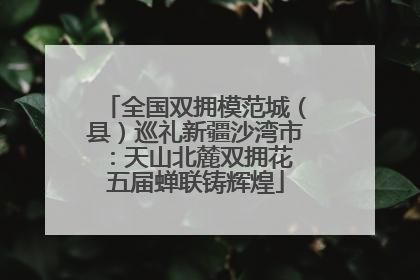 全国双拥模范城（县）巡礼新疆沙湾市：天山北麓双拥花 五届蝉联铸辉煌