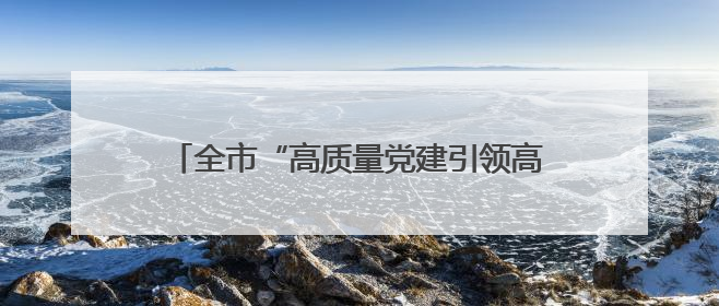 全市“高质量党建引领高质量发展”座谈会召开