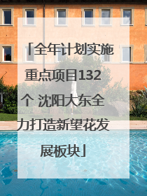 全年计划实施重点项目132个 沈阳大东全力打造新望花发展板块