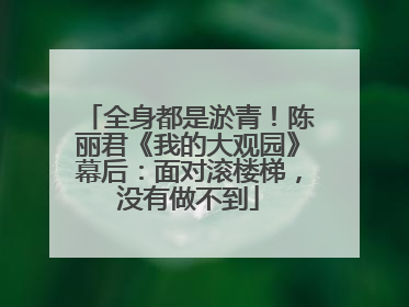 全身都是淤青！陈丽君《我的大观园》幕后：面对滚楼梯，没有做不到