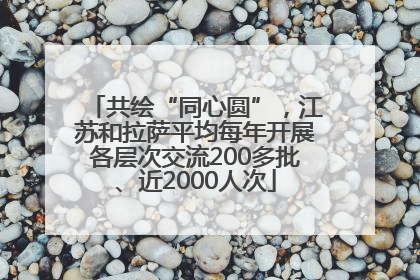 共绘“同心圆”，江苏和拉萨平均每年开展各层次交流200多批、近2000人次