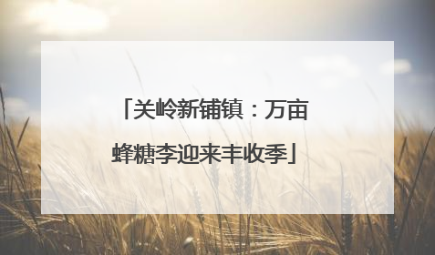 关岭新铺镇：万亩蜂糖李迎来丰收季