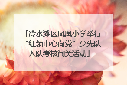 冷水滩区凤凰小学举行“红领巾心向党”少先队入队考核闯关活动