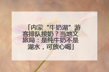 内蒙“牛奶湖”游客排队接奶？当地文旅局：是纯牛奶不是湖水，可放心喝