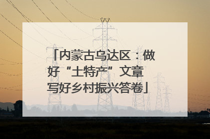 内蒙古乌达区：做好“土特产”文章 写好乡村振兴答卷