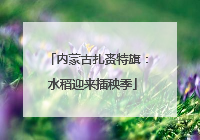 内蒙古扎赉特旗：水稻迎来插秧季