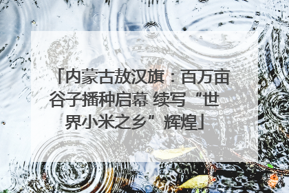 内蒙古敖汉旗：百万亩谷子播种启幕 续写“世界小米之乡”辉煌