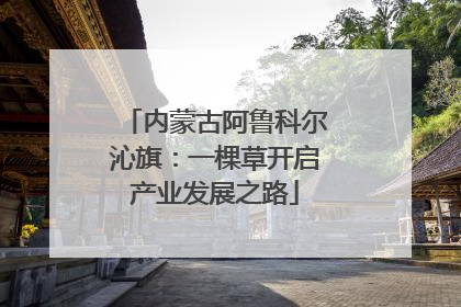 内蒙古阿鲁科尔沁旗：一棵草开启产业发展之路