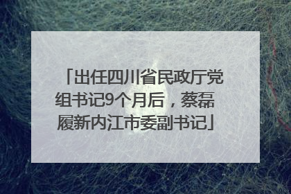 出任四川省民政厅党组书记9个月后，蔡磊履新内江市委副书记