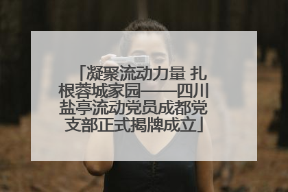 凝聚流动力量 扎根蓉城家园——四川盐亭流动党员成都党支部正式揭牌成立