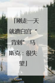 刚走一天就遭白宫“背刺” 马斯克：很失望