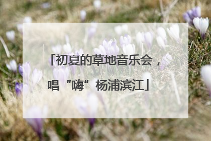 初夏的草地音乐会，唱“嗨”杨浦滨江