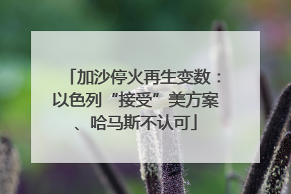 加沙停火再生变数：以色列“接受”美方案、哈马斯不认可