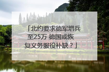 北约要求德军增兵至25万 德国或恢复义务服役补缺？