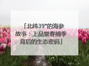 北纬39°的海参故事：上品堂春捕季背后的生态密码
