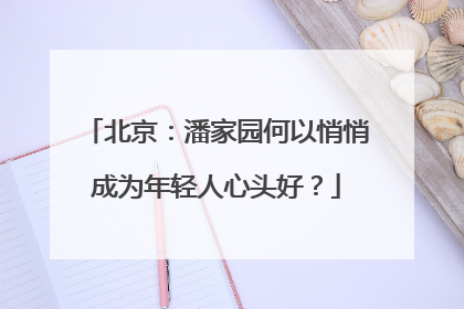 北京：潘家园何以悄悄成为年轻人心头好？